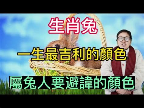 幸運顏色查詢|【八字幸運色查詢】八字命理大公開，找出屬於你的幸運色彩！